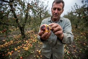 Kao da me tuča tražila!