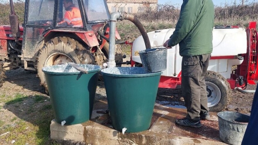 Glina se sve više koristi protiv kruškine buve - koja je najbolja?