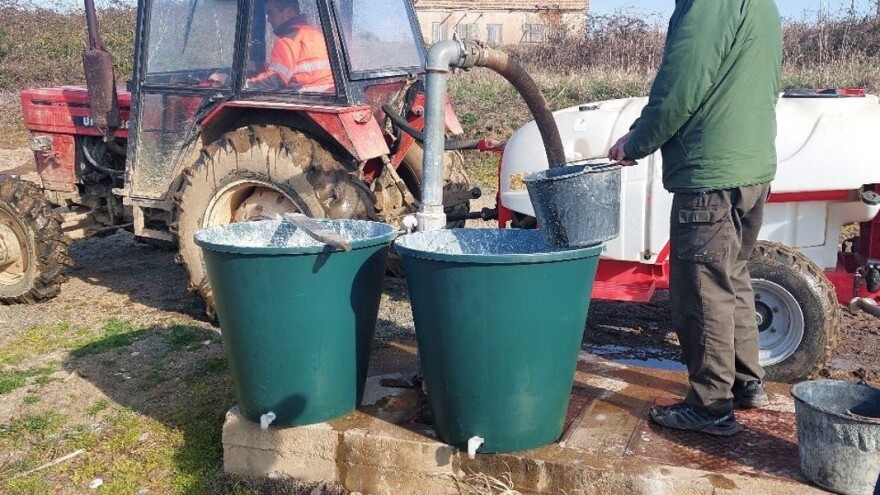 Glina se sve više koristi protiv kruškine buve - koja je najbolja?