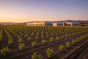 Kapitalna ulaganja - projekt