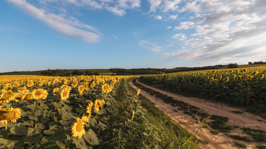 Baranja kroz objektiv Gordana Trtanja: Biser koji vrijedi posjetiti