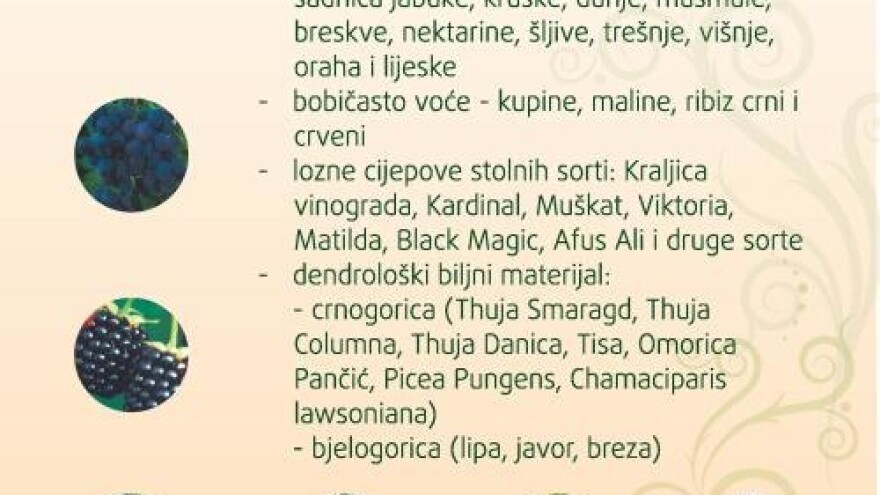 Popust na sadnice za posjetitelje Osječkog sajma