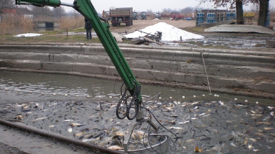 Javni poziv: Izdvojeno 10.000 KM za unapaređenje domaćeg ribarstva