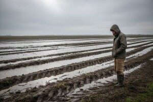 Kasni sjetva: Zbog zime i kiše prijeti nestašica hrane