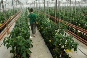 Bitno je održati likvidnost i suradnju s kupcima