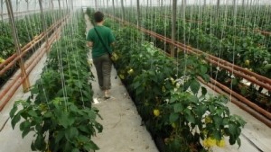 Bitno je održati likvidnost i suradnju s kupcima