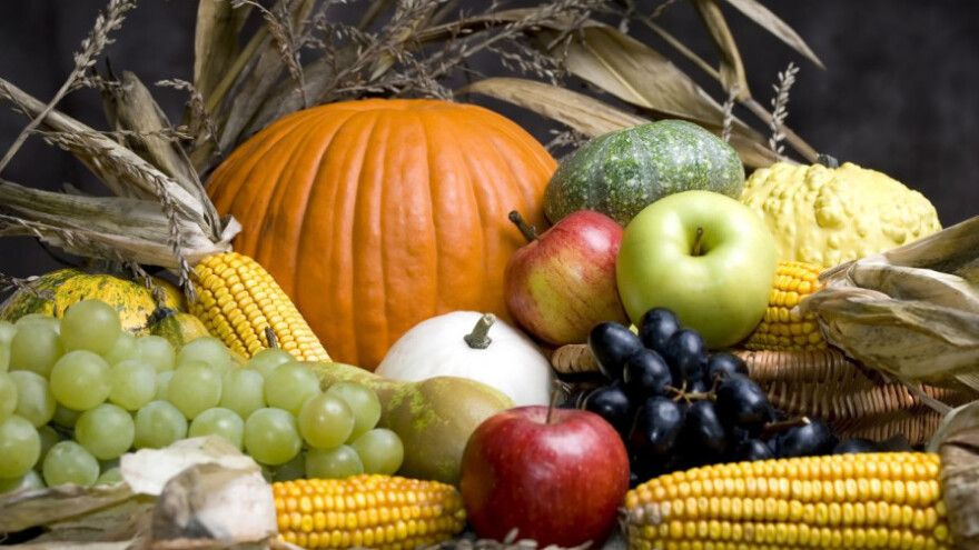 Upišite se u katalog voća i povrća!