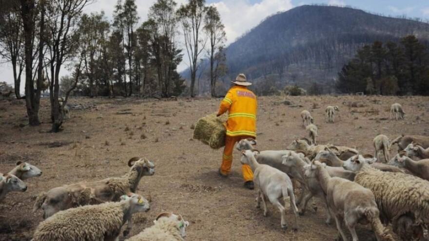 Najskuplje za osiguravatelje su oštre zime i oluje!