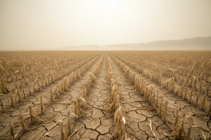 Katastrofalne posljedice zbog suše