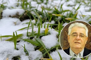 Nastavlja se hladno i suho vrijeme, snijeg moguć i u nizinama