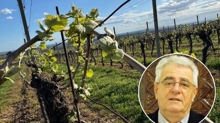 Nestabilno vrijeme očekuje nas do kraja tjedna