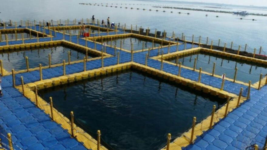 Kavezni sistem za razvoj ribarstva