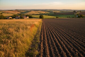 Kazne za nekorištenje zemljišta