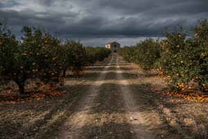 Kaznena prijava protiv ministra Čobankovića zbog afere Opuzen