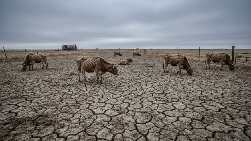 Kaznena prijava vlasnika zbog mučenja 199 krava