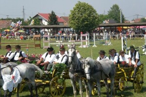 Dani kulina, sira i vina u sklopu Bećarfesta!