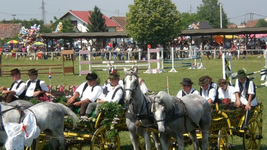 Dani kulina, sira i vina u sklopu Bećarfesta!