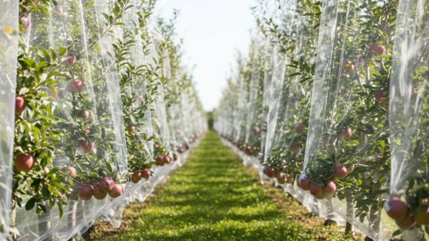 Keep in touch - mreže za pokrivanje voćnjaka