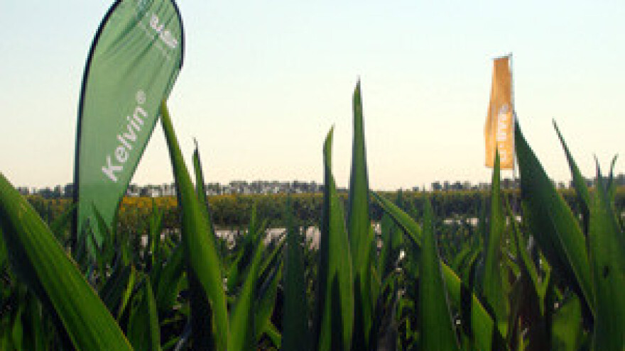 Kelvinom protiv jednogodišnjih i višegodišnjih travnih korova