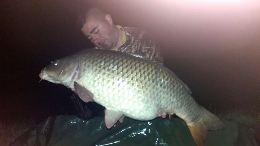 Kemal Avdić ulovio šarana teškog 15 kg na jezeru Starača