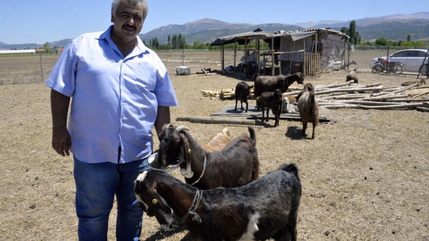 Prodali 18 igrača da bi kupili 10 koza