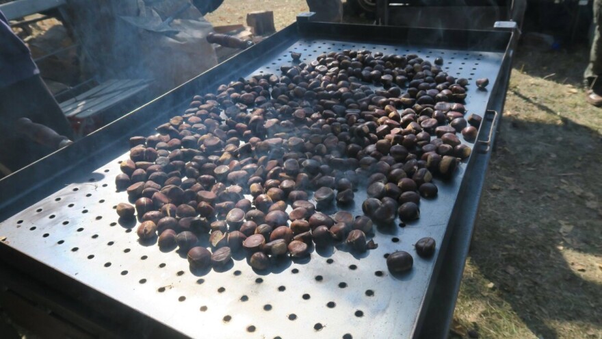 Tradicionalna, 22. Zelinska kestenijada!