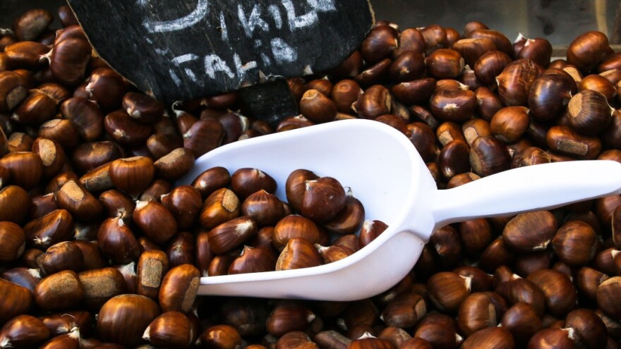 Potražnja za kestenom raste, u SAD-u ga kupuju za 15 KM po kilogramu