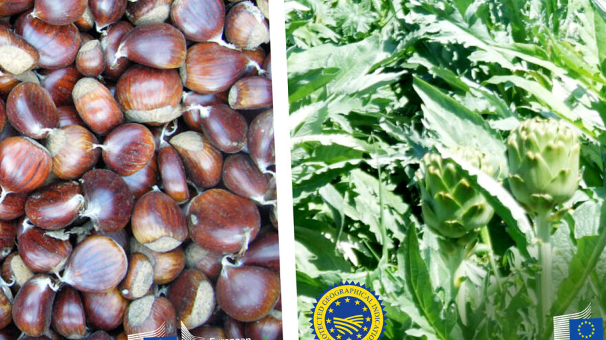 Talijanski marun i grčka artičoka dobili oznaku PGI