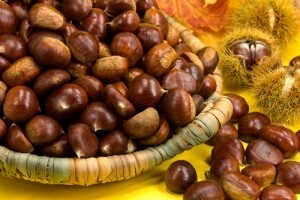 Kreditiranje i poticaji za uzgoj pitomog kestena