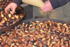 Listopadska fešta berbe kestena u Kostajnici!