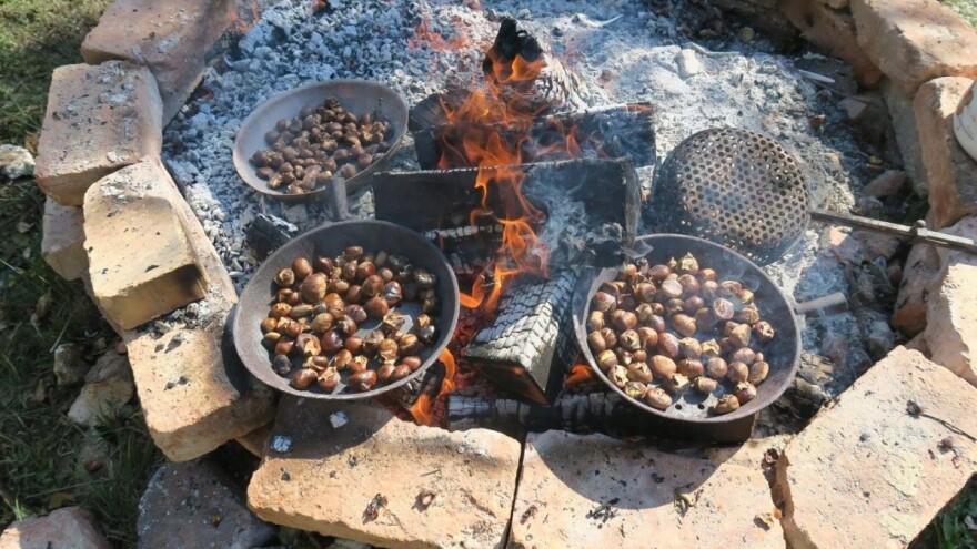 Dođite na 21. Zelinsku kestenijadu - na njoj i gljivarijada, biciklijada, pivo od kestena