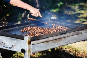 Jubilarna je! Ovaj vikend na 25. Zelinsku kestenijadu