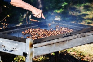 Jubilarna je! Ovaj vikend na 25. Zelinsku kestenijadu