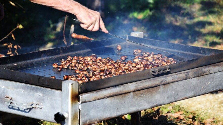 Jubilarna je! Ovaj vikend na 25. Zelinsku kestenijadu