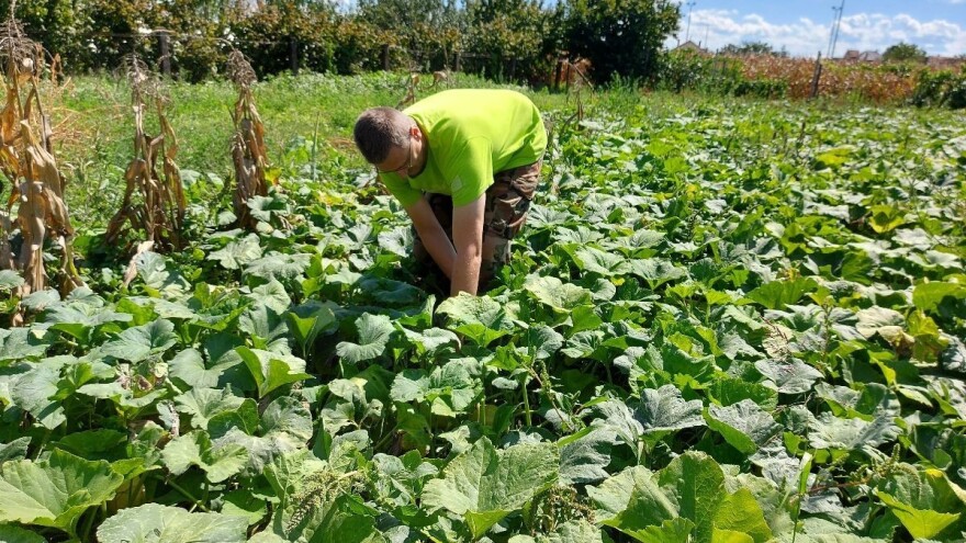 Tomislav Prgić živio je u kibucu: I Hrvatska treba čovjeka i znanje staviti na prvo mjesto
