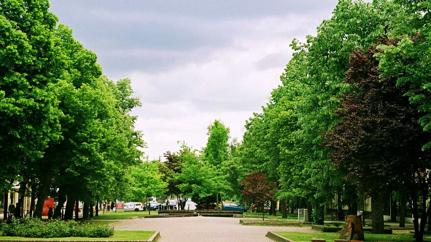 Kikinda: Borba protiv zabrinjavajuće niske pošumljenosti