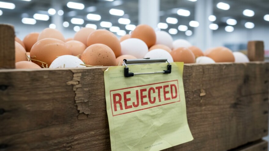 Kina zabranila uvoz jaja i peradi