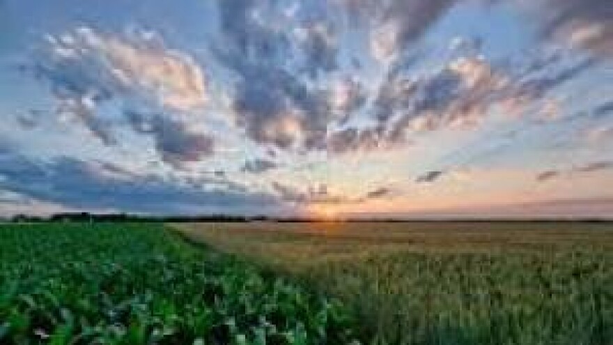 Kulture obećavaju dobar urod