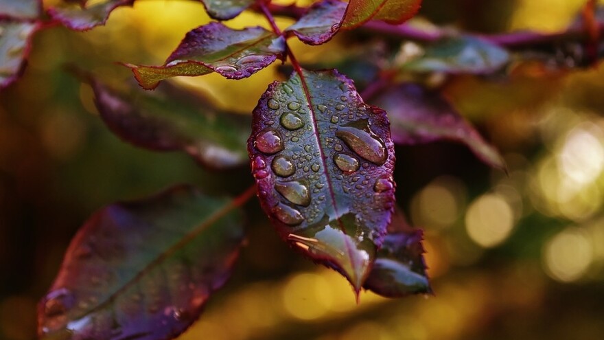 Neće biti stabilizacije vremena od sledeće nedelje