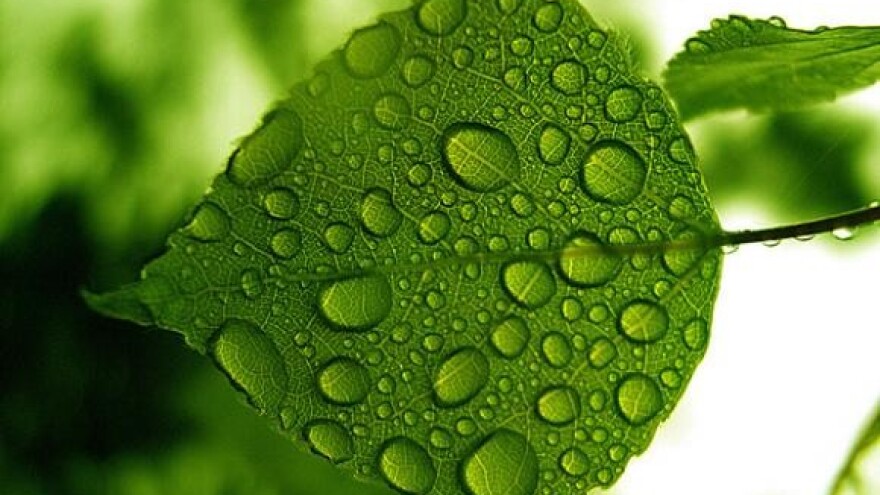 Povrtnjak s besplatnom i zdravom vodom