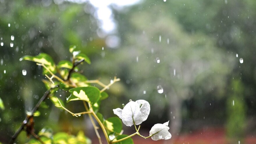 Do kraja sedmice visoke temperature uz jače pljuskove i grmljavinu