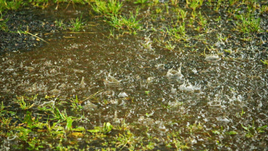 Kišovito i hladnije, krajem sedmice razvedravanje