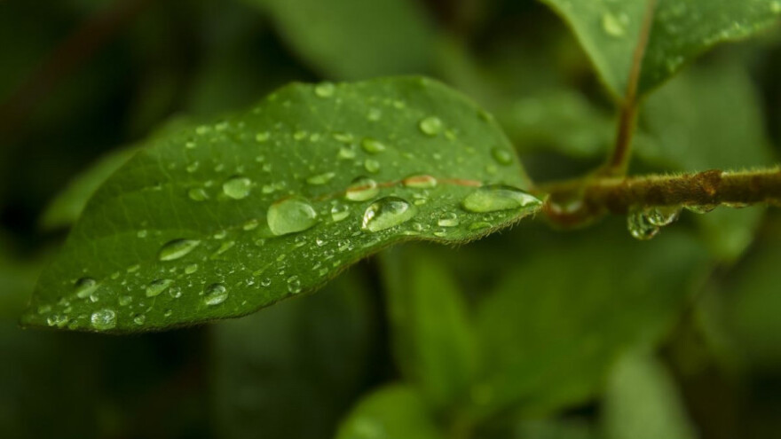 Povremene kiše i lokalni pljuskovi!