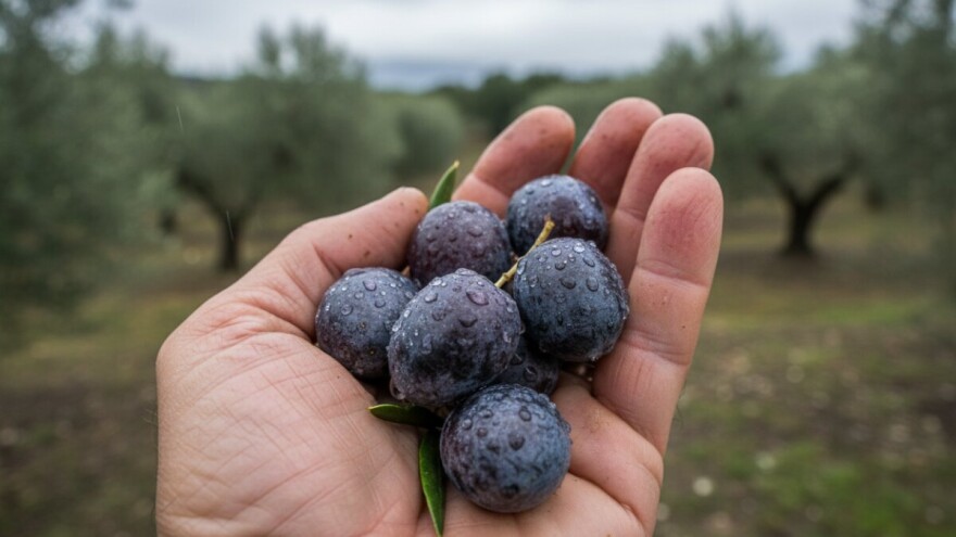 Kiša smanjila randman
