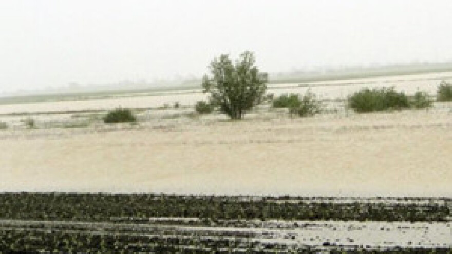 Slatina: Poplavljeni poljoprivredi nasadi