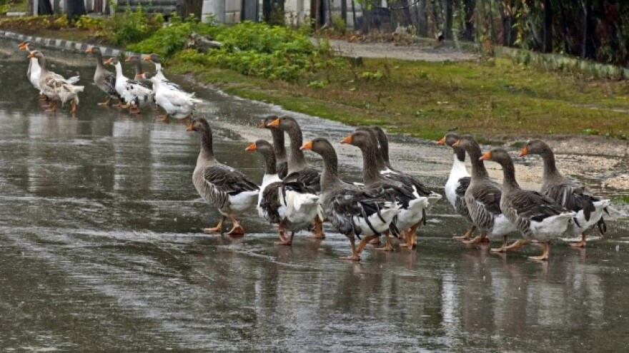 Nakon sunca dolazi kiša!