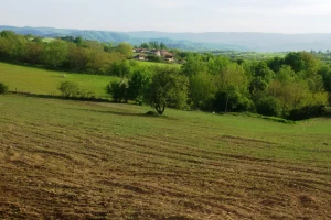 Opada nivo humusa u zemljištu jer nema dovoljno goveda