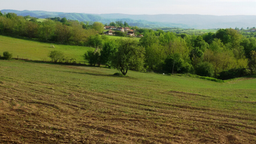 Opada nivo humusa u zemljištu jer nema dovoljno goveda