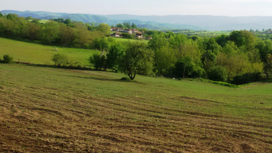 Pooštreni uslovi za zakup državnog zemljišta