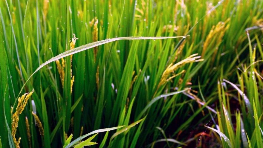 Promjenjivo oblačno uz pokoji pljusak!